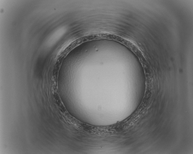 X0000073900871200609011716