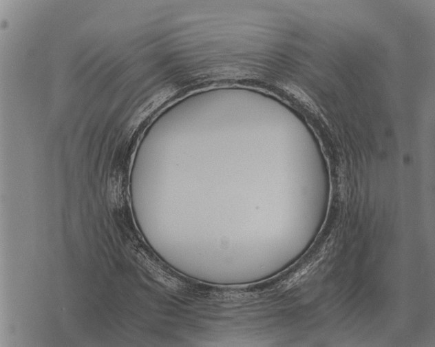 X0000073900873200609011716