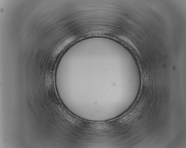 X0000073900874200609011716