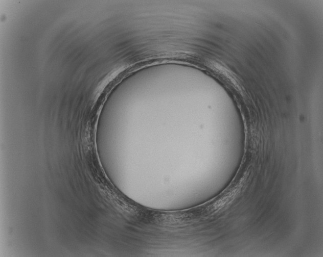 X0000073900875200609011716