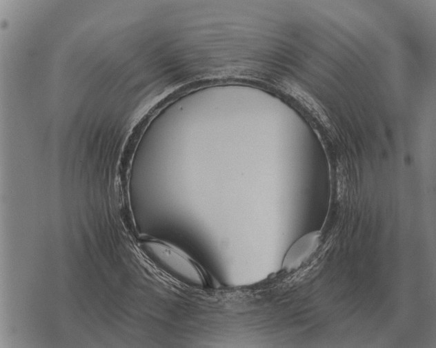 X0000073900876200609011716