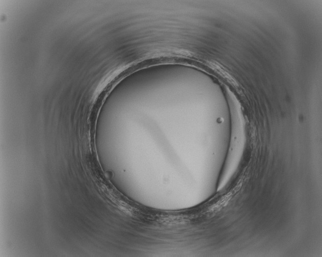 X0000073900877200609011716