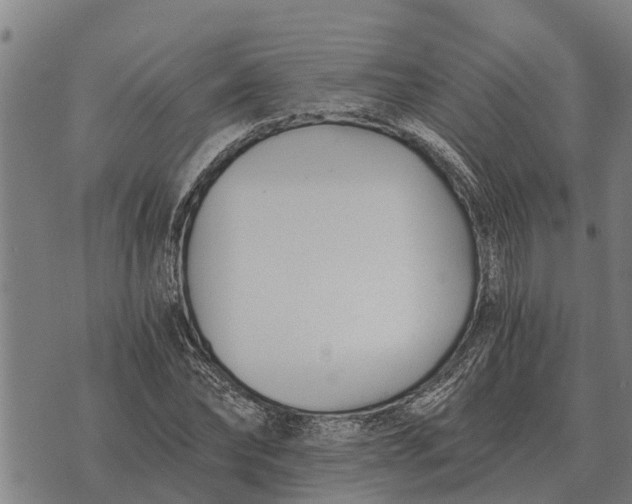 X0000073900878200609011716