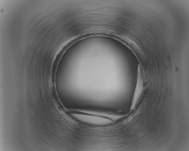 X0000073900880200609011716