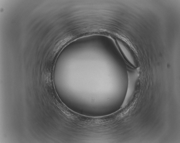 X0000073900881200609011716