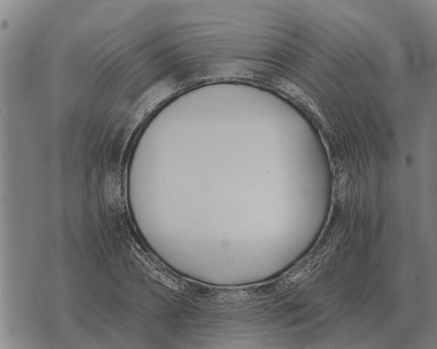 X0000073900882200609011715