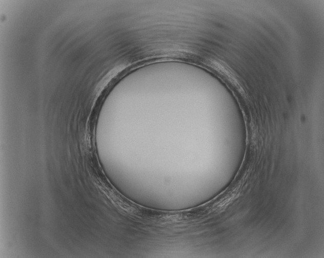 X0000073900883200609011715