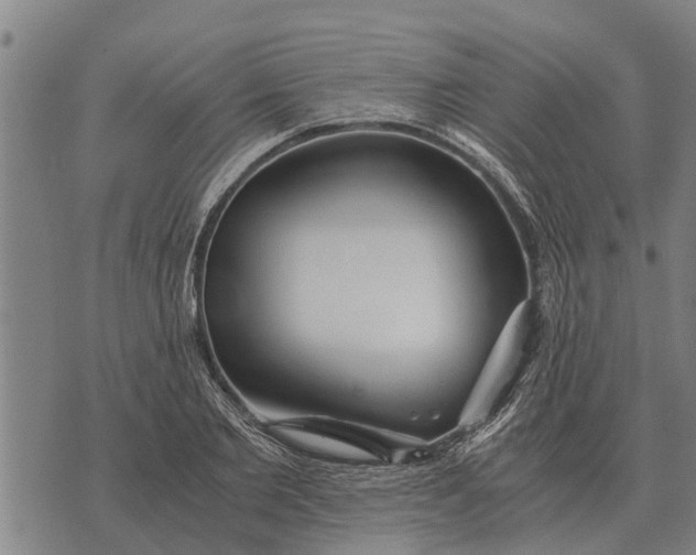 X0000073900885200609011715