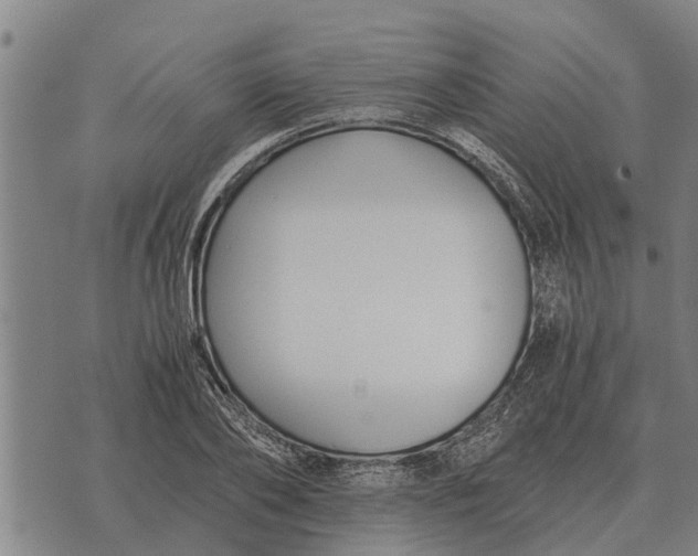 X0000073900886200609011715