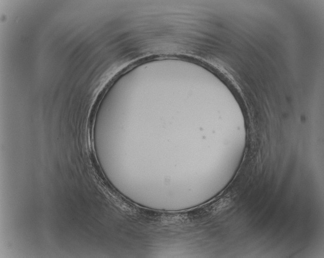 X0000073900887200609011715