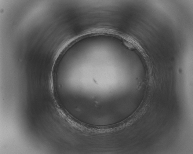 X0000073900888200609011715