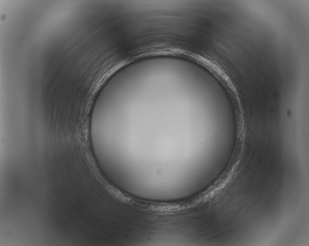 X0000073900889200609011715