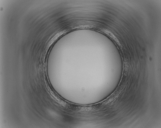 X0000073900890200609011715