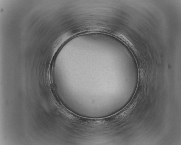 X0000073900891200609011715