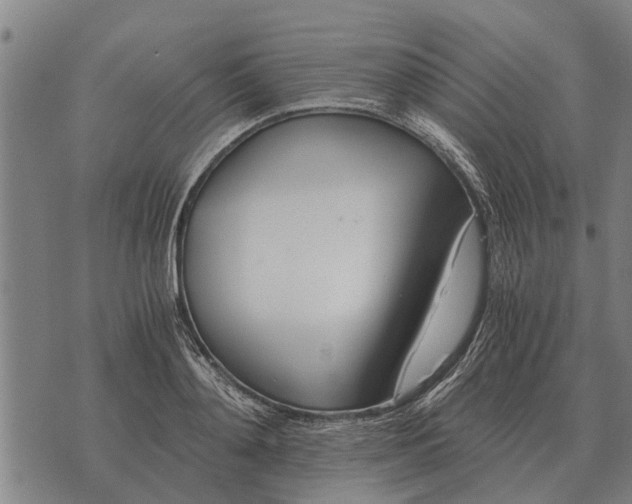 X0000073900892200609011715