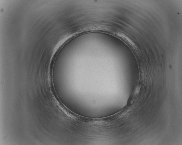 X0000073900894200609011715