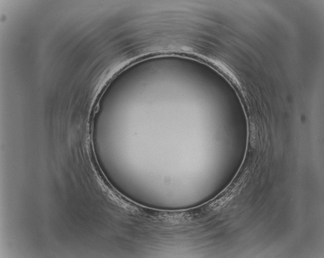 X0000073900895200609011715