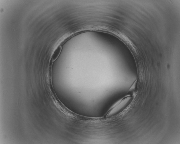 X0000073900896200609011715