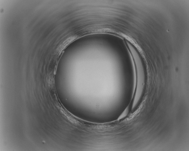 X0000073900897200609011715