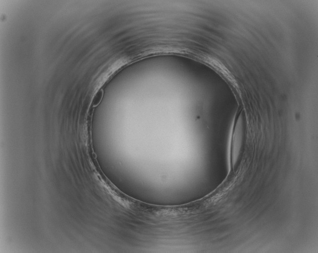 X0000073900898200609011715