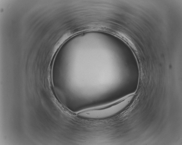 X0000073900899200609011715