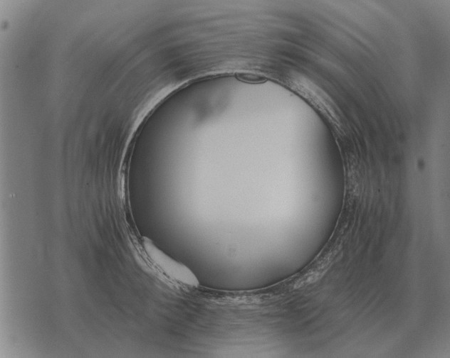 X0000073900900200609011715