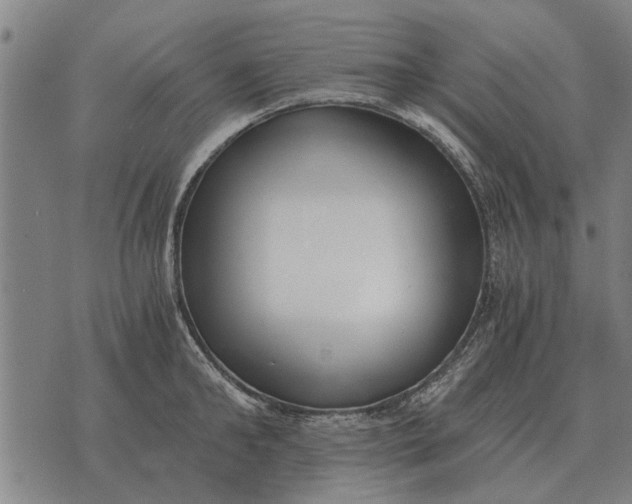 X0000073900902200609011715