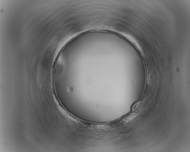 X0000073900903200609011715