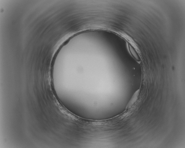 X0000073900904200609011715