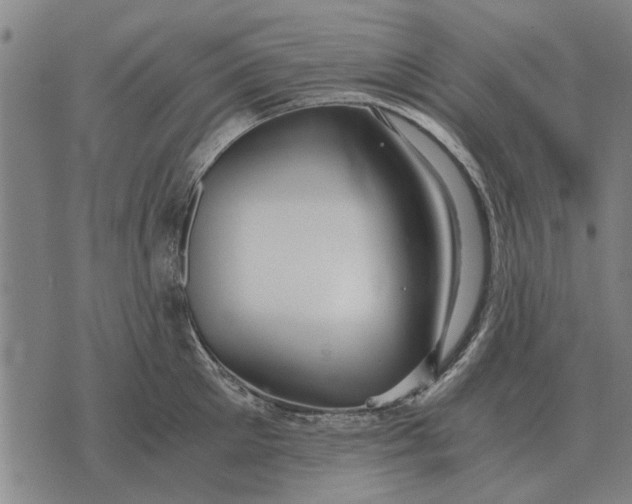 X0000073900905200609011715