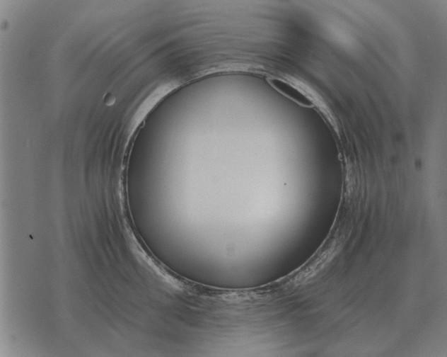 X0000073900906200609011715