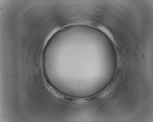 X0000073900907200609011715