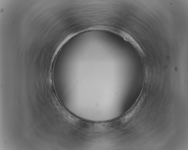 X0000073900908200609011715