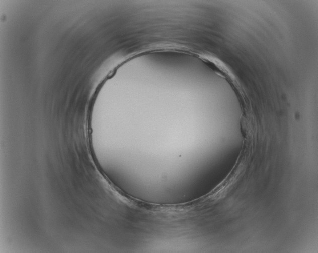 X0000073900910200609011715