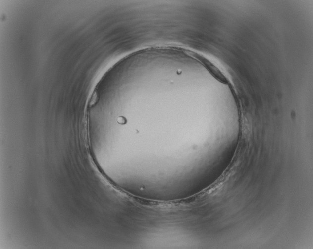 X0000073900911200609011715