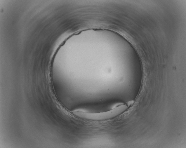 X0000073900912200609011715