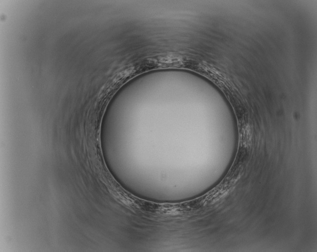 X0000073900913200609011714