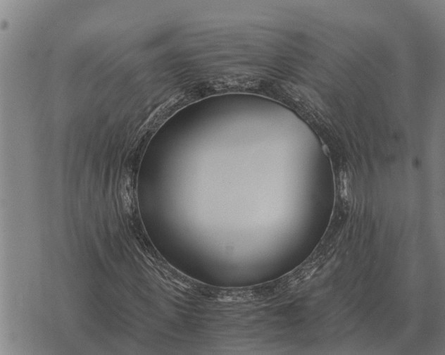 X0000073900915200609011714