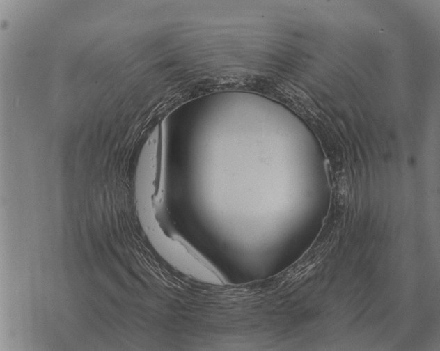 X0000073900916200609011714