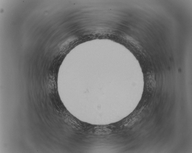 X0000073900918200609011714