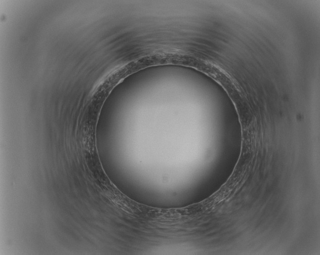 X0000073900919200609011714