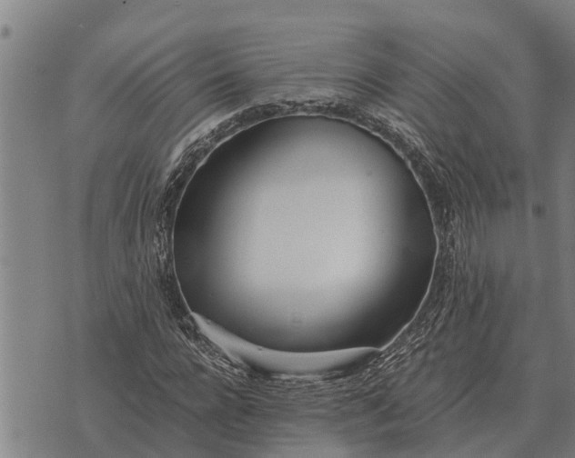 X0000073900920200609011714