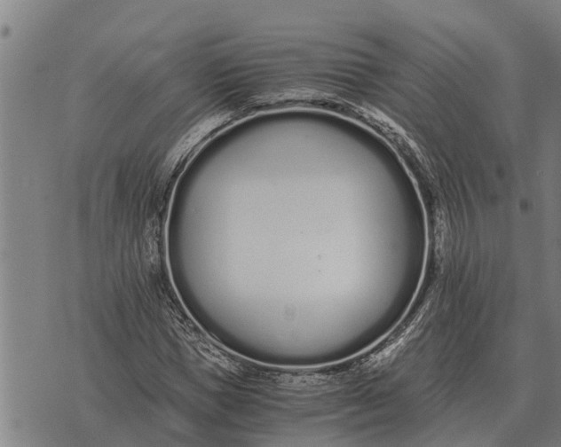 X0000073900921200609011714