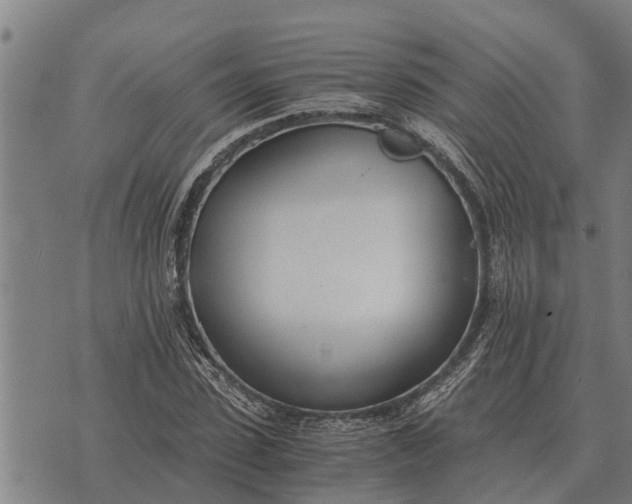 X0000073900923200609011714