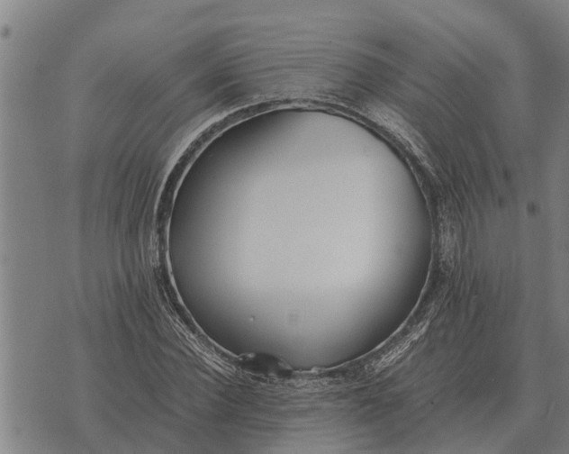 X0000073900924200609011714