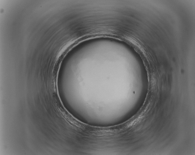 X0000073900925200609011714