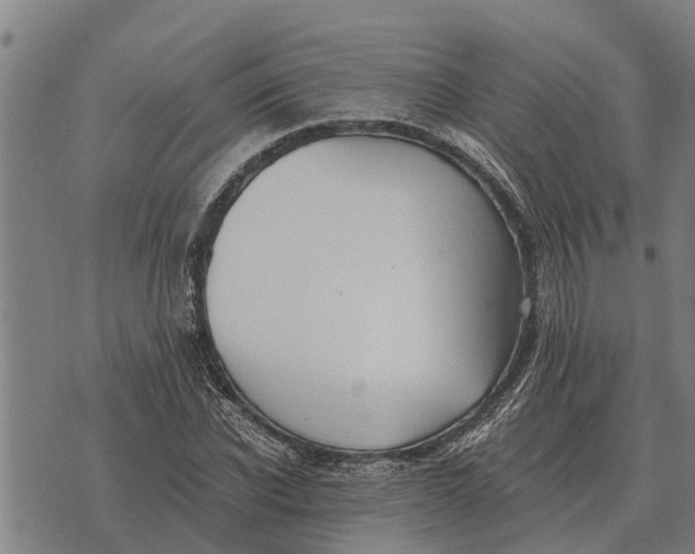 X0000073900926200609011714