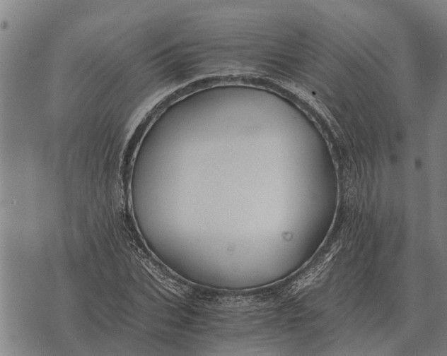 X0000073900927200609011714