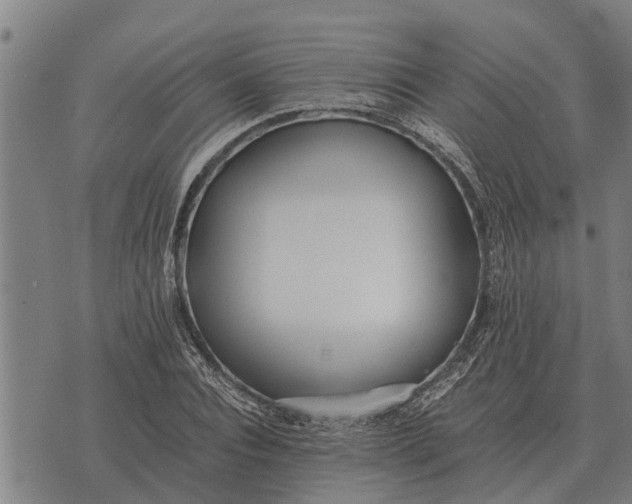 X0000073900928200609011714