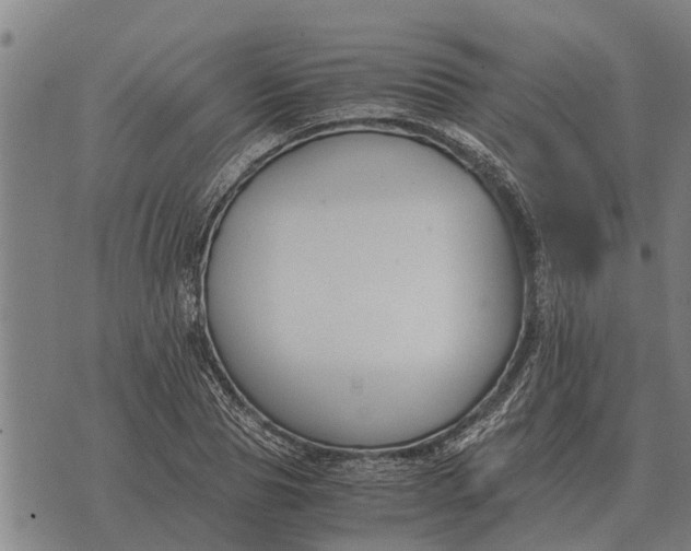 X0000073900929200609011714